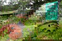 Port Arthur Richmond and Tasman Peninsula Day Trip from Hobart