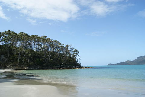 Bruny Island Day Trip From Hobart - Accommodation Cooktown 1