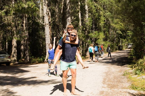 7-Day Best Of Tasmania Adventure Experience From Hobart (flexible Ticket) - Accommodation Cooktown 5