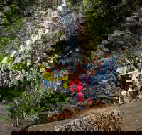 5-Day Lap of Tasmania Tour from Hobart flexible ticket - Accommodation Cooktown