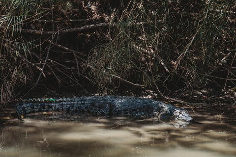 Kakadu Full-Day Tour From Darwin With Lunch - Accommodation Cooktown 4