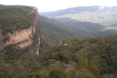 Full-Day Private Blue Mountains Tour With River Cruise - Accommodation Cooktown 3