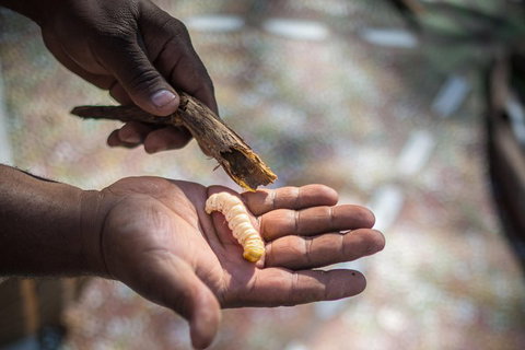 Karrke Aboriginal Cultural Experience - Accommodation Cooktown 3