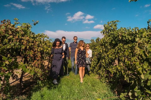 Barossa Valley Private Tour (from 2 To 11 People) - Accommodation Cooktown 0