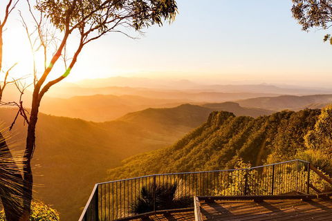 O'Reilly's & Lamington National Park Incl. Alpaca Farm + Vineyard - Accommodation Cooktown 0