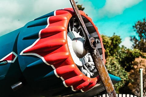 O'Reilly's & Lamington National Park Incl. Alpaca Farm + Vineyard - Accommodation Cooktown 1