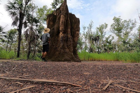ETHICAL ADVENTURES - Litchfield Region, Max 10 Guests - Accommodation Cooktown 3