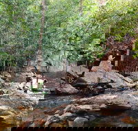 Ethical Adventures - Best in the WET - Litchfield / Kakadu 3 Day- max 10 guests - Accommodation Cooktown