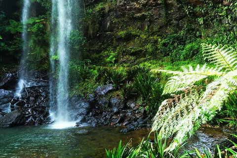 Private Tour - Rainforest & Waterfalls Extravaganza - Accommodation Cooktown 1