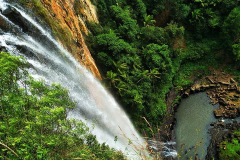 Private Tour - Rainforest & Waterfalls Extravaganza - Accommodation Cooktown 2