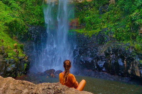 Private Tour - Rainforest & Waterfalls Extravaganza - Accommodation Cooktown 3