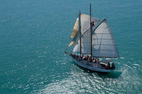 Whitehaven Beach Sailing And Snorkeling Cruise - Accommodation Cooktown 1