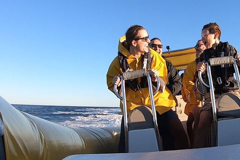 Noosa Oceanrider - Adventure Tour - Accommodation Cooktown 0