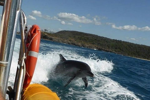 Noosa Oceanrider - Adventure Tour - Accommodation Cooktown 1