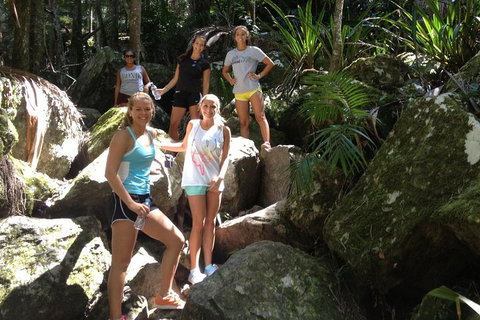 Byron Bay Hinterland Tour Including Rainforest Walk To Minyon Falls - Accommodation Cooktown 3