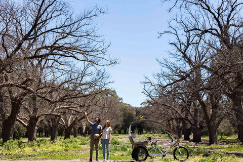 Adelaide 90-Minute Pedicab Tour: Scenic Green & River Experience - Accommodation Cooktown 1