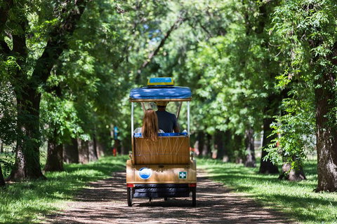 Adelaide 90-Minute Pedicab Tour: Scenic Green & River Experience - Accommodation Cooktown 2