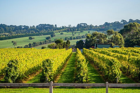 Private Tours From Melbourne - Accommodation Cooktown 1