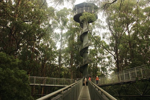 Private Tours From Melbourne - Accommodation Cooktown 5