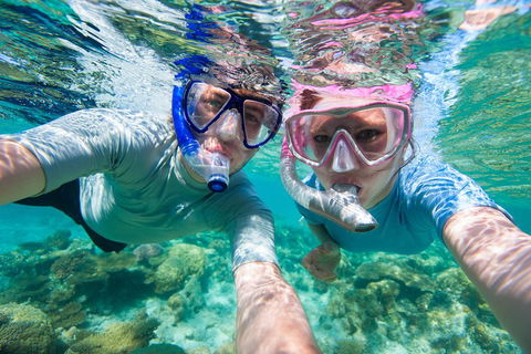 Whitehaven Beach And Hill Inlet Lookout Full-Day Snorkeling Cruise By High-Speed Catamaran - Accommodation Cooktown 2