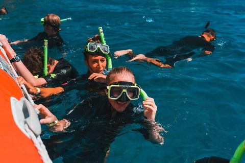 Whitehaven Beach And Hill Inlet Lookout Full-Day Snorkeling Cruise By High-Speed Catamaran - Accommodation Cooktown 3