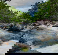 Cape Tribulation Day Tour - Accommodation Cooktown