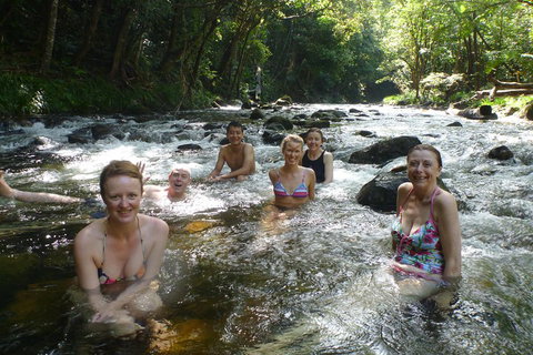 Daintree Rainforest, Cape Tribulation, Mossman Gorge Small-Group Day Tour - Accommodation Cooktown 0