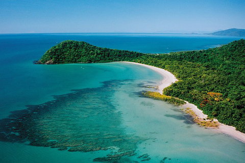 Daintree Rainforest, Cape Tribulation, Mossman Gorge Small-Group Day Tour - Accommodation Cooktown 4