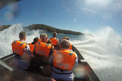 Noosa Thriller - 500hp Ocean Adventure Ride - Accommodation Cooktown 3