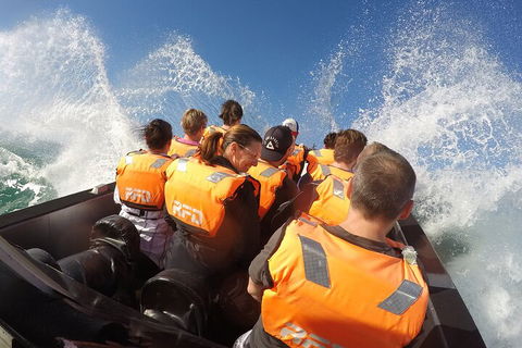 Noosa Thriller - 500hp Ocean Adventure Ride - Accommodation Cooktown 4