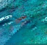 Premium Private Charter - Accommodation Cooktown