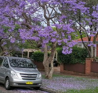 Sydney Secrets  Bondi Beach Private 4 Hr Morning with Personalised Sydney Tours - Accommodation Cooktown