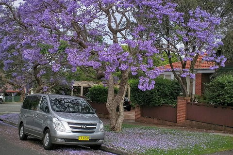 Sydney Secrets & Bondi Beach Private 4 Hr Morning With Personalised Sydney Tours - Accommodation Cooktown 0