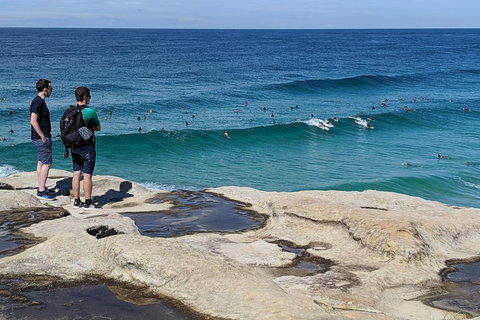 Sydney Secrets & Bondi Beach Private 4 Hr Morning With Personalised Sydney Tours - Accommodation Cooktown 2