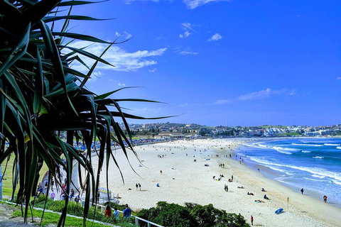 Sydney Secrets & Bondi Private 4 Hour Afternoon With 'Personalised Sydney Tours' - Accommodation Cooktown 0