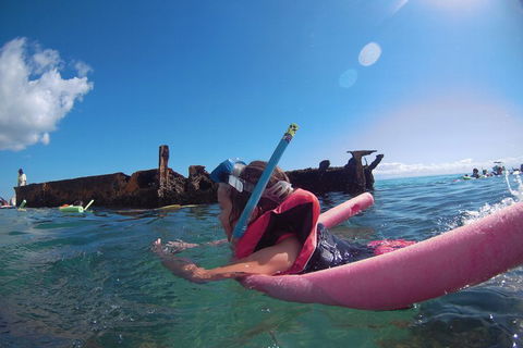 All Inclusive Dolphin And Tangalooma Wrecks Cruise - Accommodation Cooktown 2