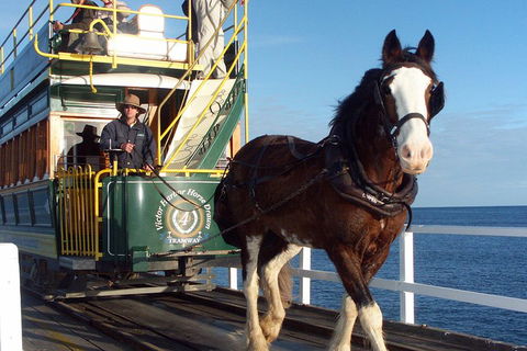 Full-Day Tour In South Australia Highlights - Accommodation Cooktown 1