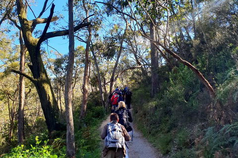 Self-Guided Waterfall Gully To Mount Lofty Hike From Adelaide - Accommodation Cooktown 1