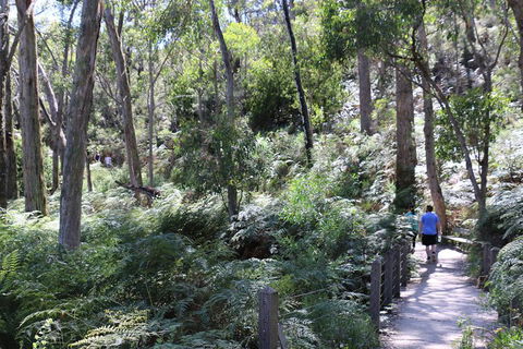 Self-Guided Waterfall Gully To Mount Lofty Hike From Adelaide - Accommodation Cooktown 2