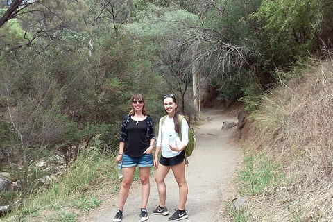 Self-Guided Waterfall Gully To Mount Lofty Hike From Adelaide - Accommodation Cooktown 4