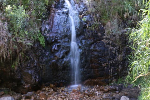 Self-Guided Waterfall Gully To Mount Lofty Hike From Adelaide - Accommodation Cooktown 5