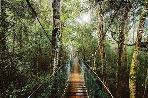 O'Reilly's & Lamington National Park from Gold Coast