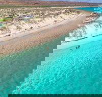 Ningaloo in a Day - Full Day Hike and Snorkel Tour with Lunch - Accommodation Cooktown