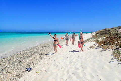 Ningaloo In A Day - Full Day Hike And Snorkel Tour With Lunch - Accommodation Cooktown 1