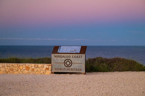 Ningaloo In A Day - Full Day Hike And Snorkel Tour With Lunch - Accommodation Cooktown 5