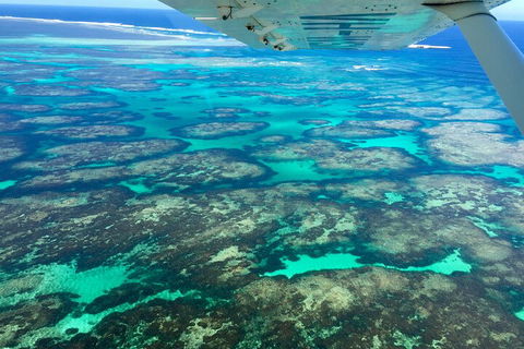Shipwreck Special Full Day Tour Of The Abrolhos Islands - Accommodation Cooktown 1