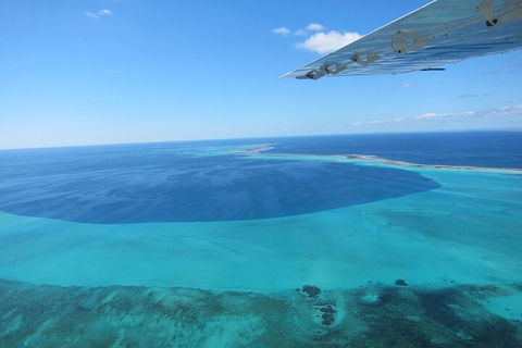 Shipwreck Special Full Day Tour Of The Abrolhos Islands - Accommodation Cooktown 2