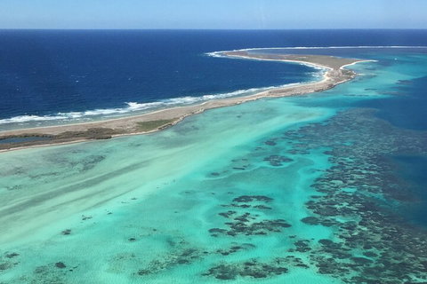 Kalbarri, Pink Lake And Abrolhos Islands Nature Tour - Accommodation Cooktown 3