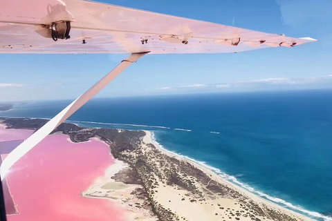 Kalbarri, Pink Lake And Abrolhos Islands Nature Tour - Accommodation Cooktown 4