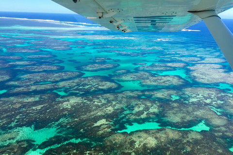Kalbarri, Pink Lake And Abrolhos Islands Nature Tour - Accommodation Cooktown 5